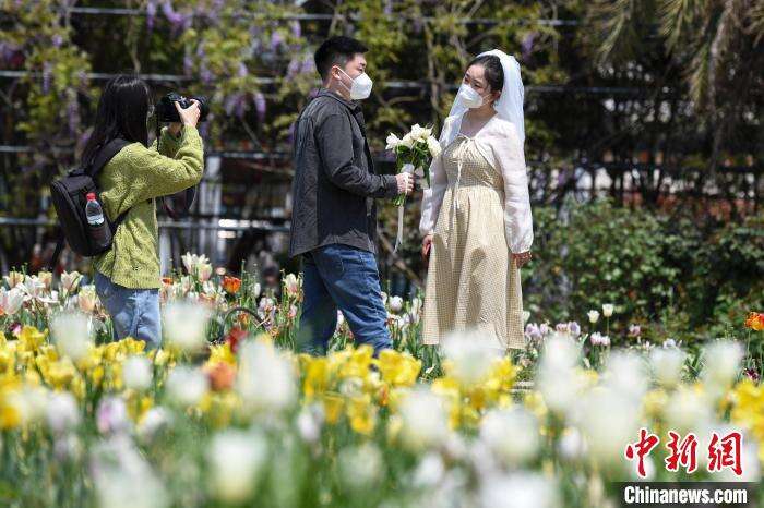 一对戴着口罩的新人在郁金香花丛中拍摄婚纱照。　杨华峰摄