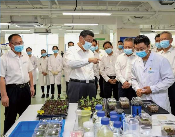 总书记海南考察再谈种子“这件大事”
