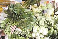 直击“广州粮仓”:全供应链流程畅 未动战略储备粮