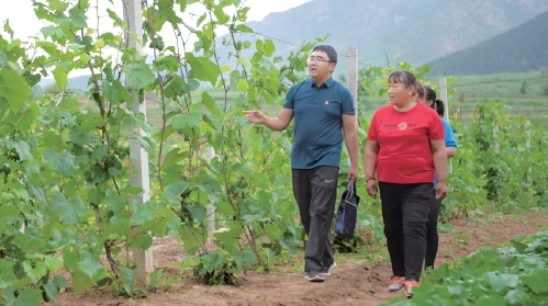 内蒙古自治区喀喇沁旗河南街道马鞍山村—— “集”优成势　绘就乡村振兴新画卷