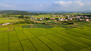 两部门印发工作导则：不误农时抓好春季农业生产