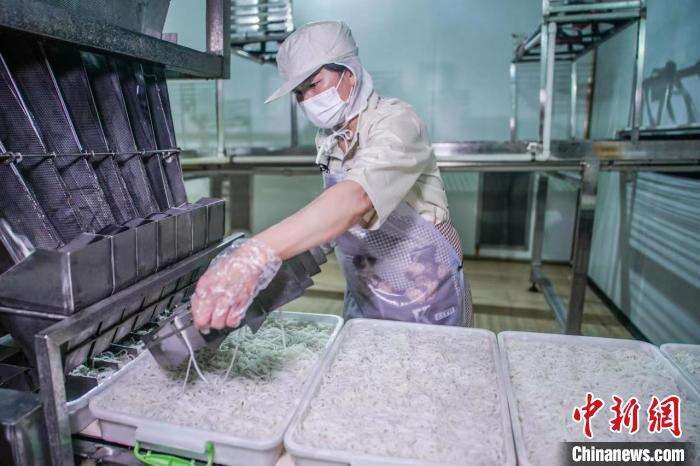 日均消费超亿元广西鲜湿米粉产业迎来监管新政