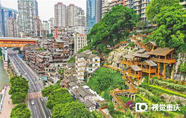 城市“有机”更新 幸福“近在咫尺”