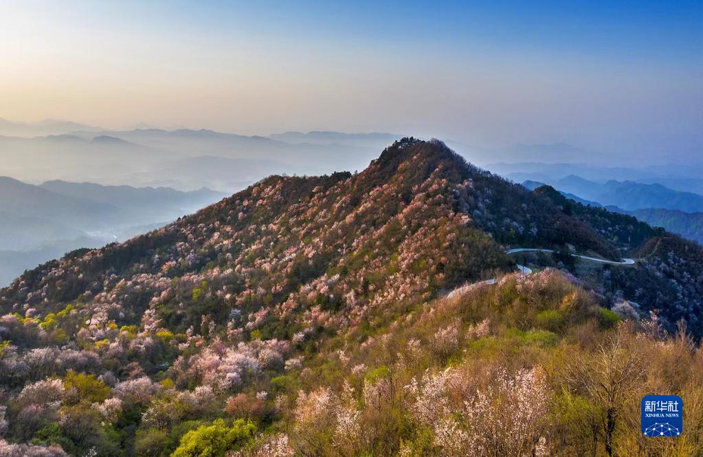 产业强、农村美、群众富——今日大别山居图