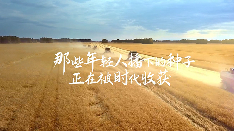 我们正青春--聆听总书记寄语 探寻青年人成才密码|问对