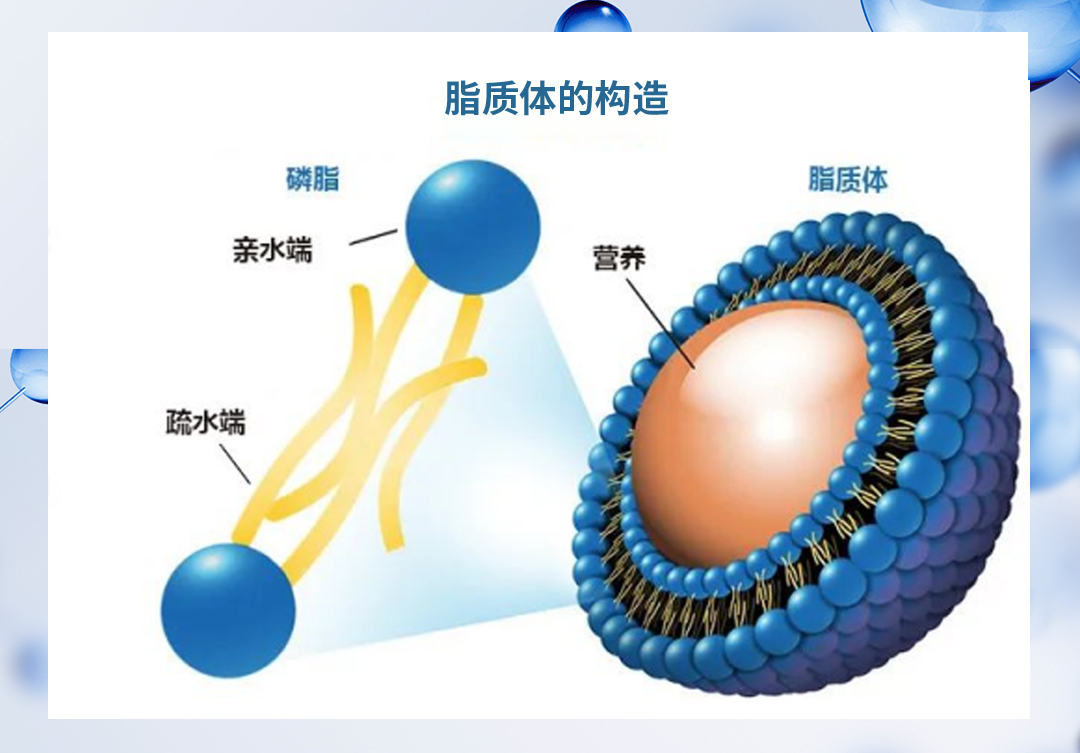 蜜妆生物联合广工创新科研,在纳米包裹技术方面取得新突破