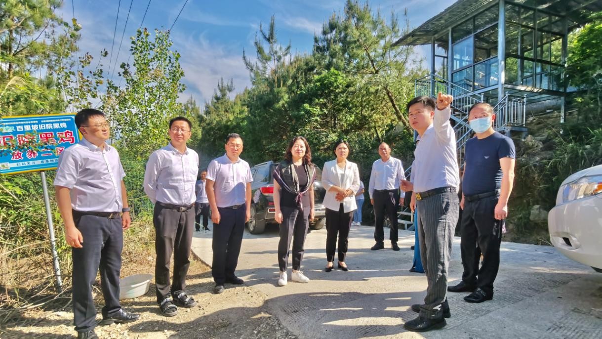 王蔚荩常委带队深入万源市调研巾帼企业发展现状