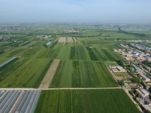 陕西岚皋提升改造农村土坯房 群众受益