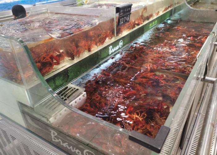 小龙虾大降价，产地每斤不到10元，你买了吗？