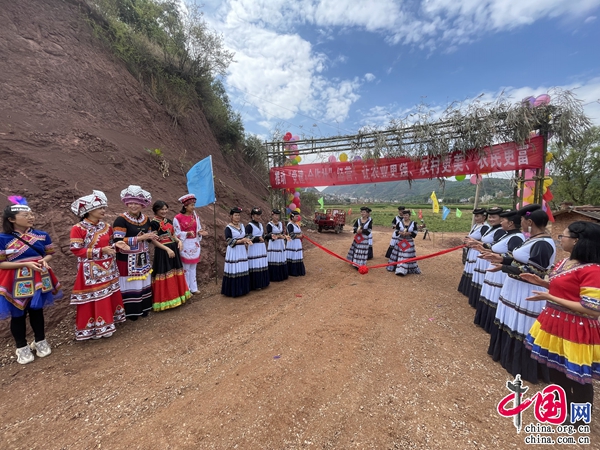 云南富民：彩色稻田扮靓乡村 农旅融合助力振兴