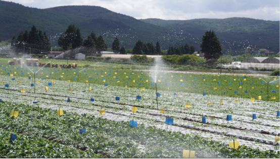 水源保护区里的有机盒马村：种植户与娃娃鱼、鸬鹚为伴