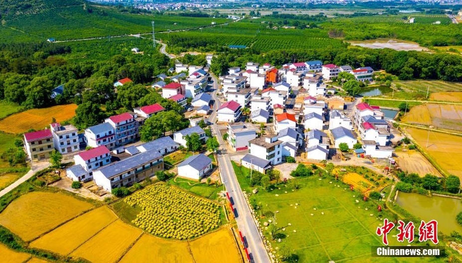 航拍江西新余乡村风景美