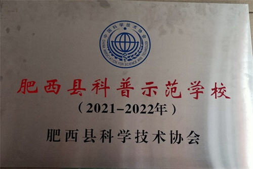 桃花镇顺和小学在2022年肥西县第七届青少年科技创新县长奖中再获佳绩