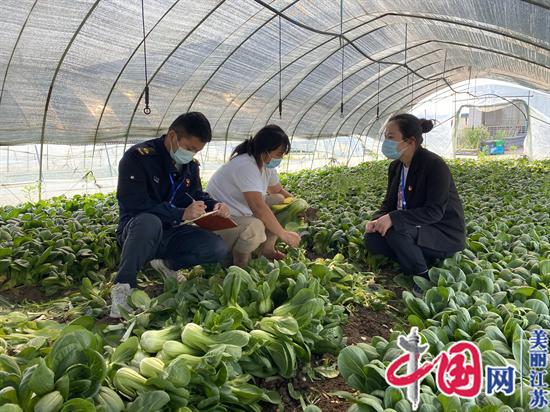 张家港乐余镇红闸村：网格下的“铁脚板” 防疫治理同步行