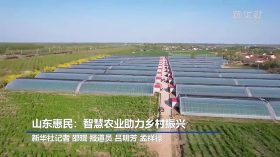 山东惠民:智慧农业助力乡村振兴