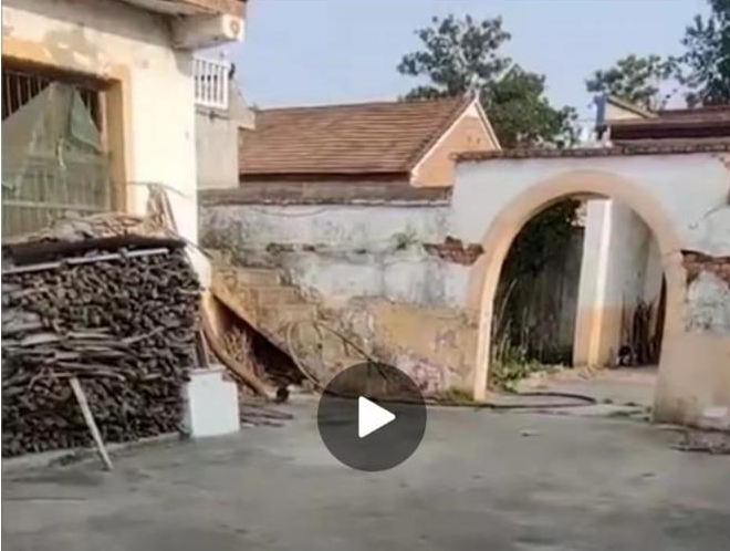 女大学生被安排在废弃20年小院隔离——一个不可靠的居家隔离样板