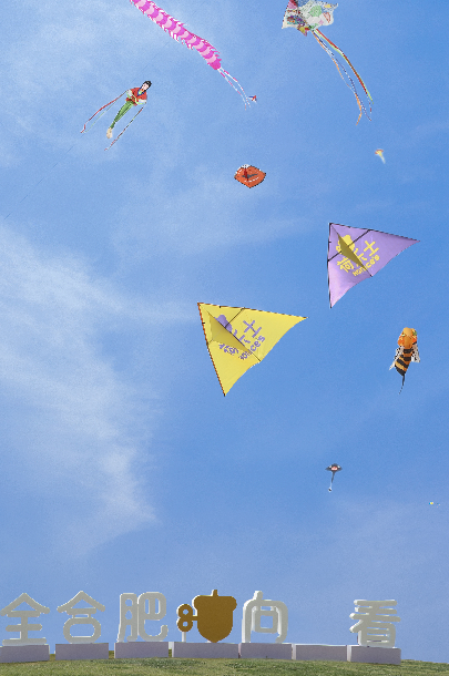 “全合肥向上看”第一届合肥风筝文化节圆满结束
