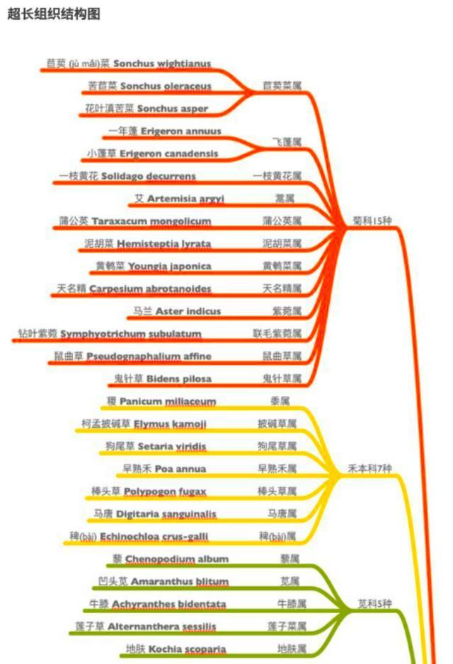 上海男子被封2个月在小区绿化带找出84种草药 43种野菜