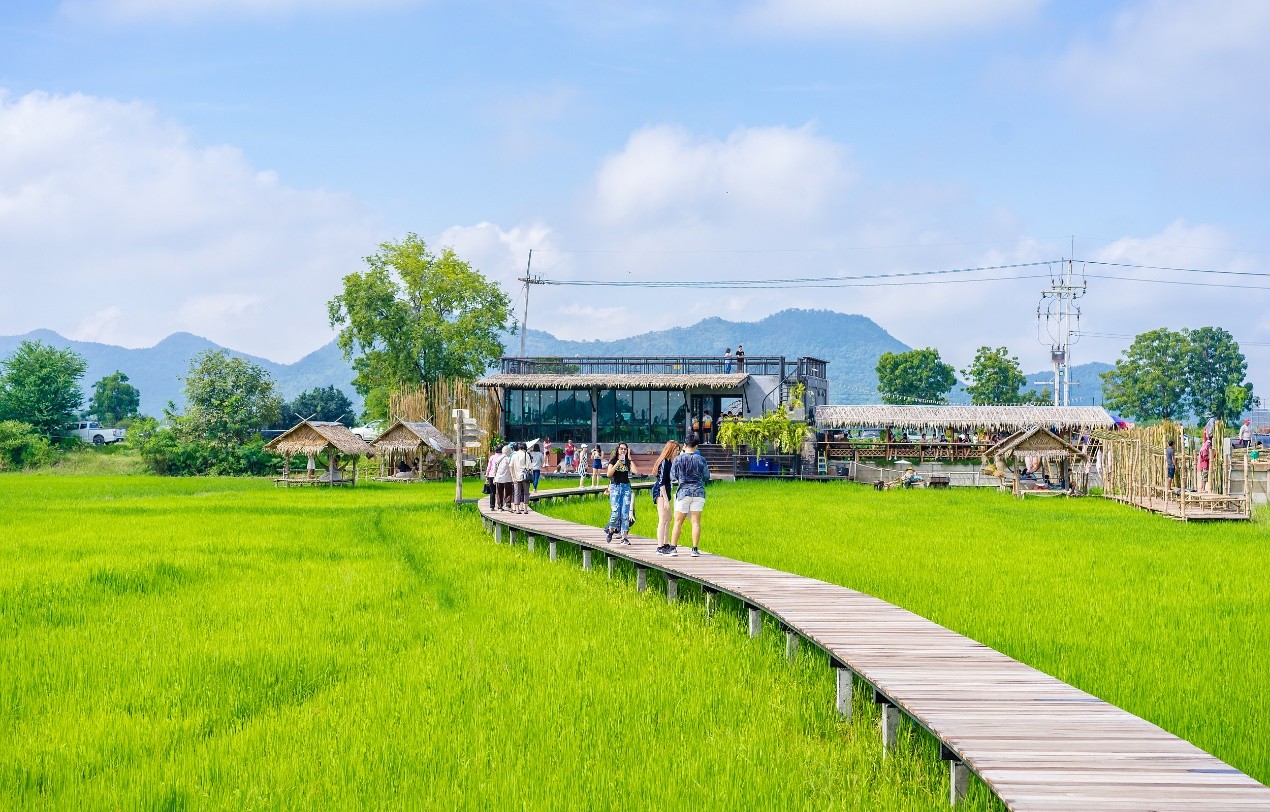 返乡创业正当时,投融界助力创业者锚定新方向