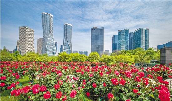 闪亮“浙”五年丨杭州：当好高质量发展赛道领跑者