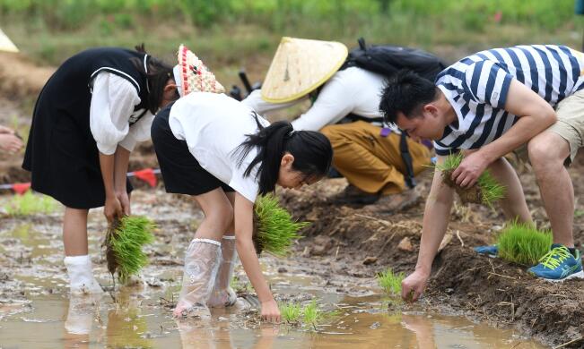 江苏省实施近千个现代职业教育体系贯通培养项目