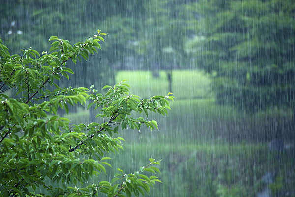 杭州发布暴雨黄色预警信号 这些地方有短时大到暴雨