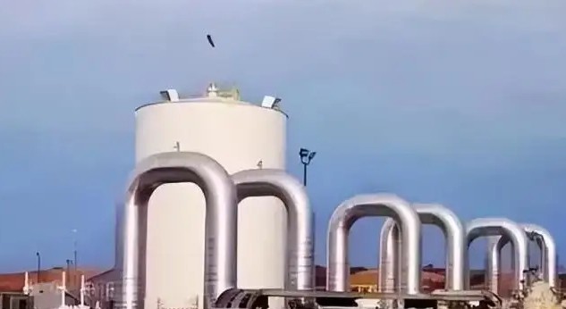 中国心磁技术专家协作组正式成立