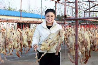 女硕士研究“生鲜供应链”只为返乡卖白鹅