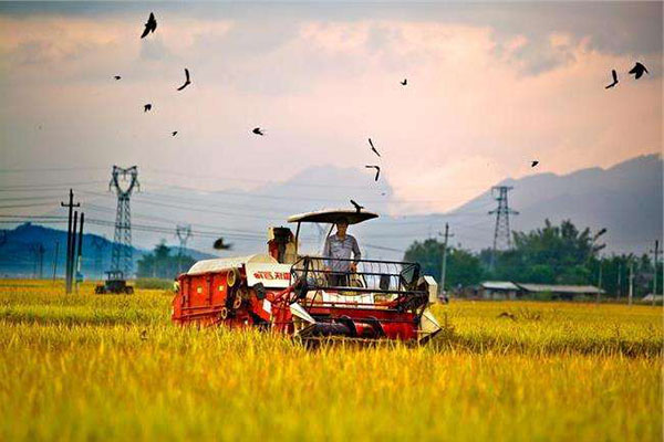 贵州遵义红花岗区:“科技之花”绽放山乡田野