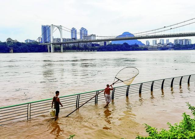 洪水再次过境柳州，河水漫上滨江西路