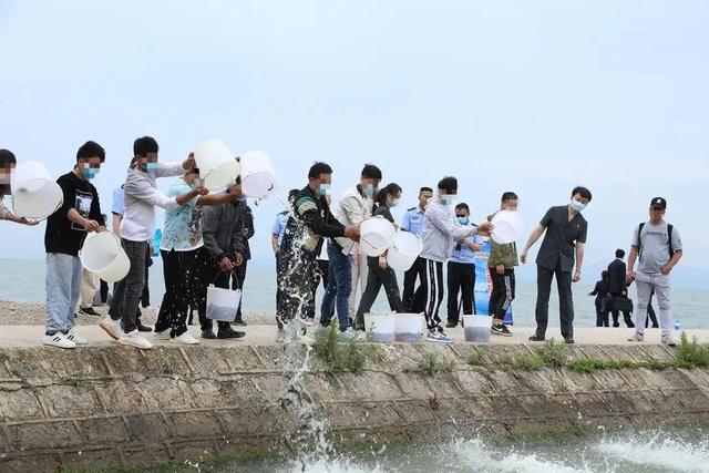 网红打卡地“沉浸式”普法，增殖放流助力生态修复