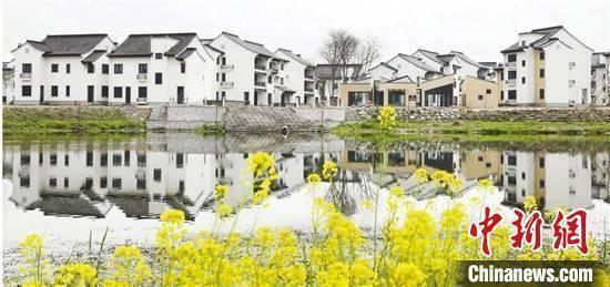 浙江湖州“落子三招”:于乡村振兴中解锁“共富密码