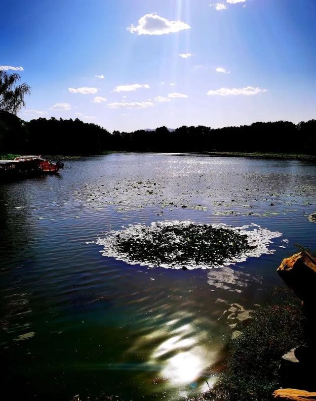 藝文视界｜什么样的聪明人和老实人很难得？