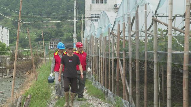 苍南县供电部门：全力保障农户灌溉用电安全