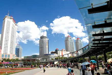 西宁市总开展建会“百日攻坚行动”