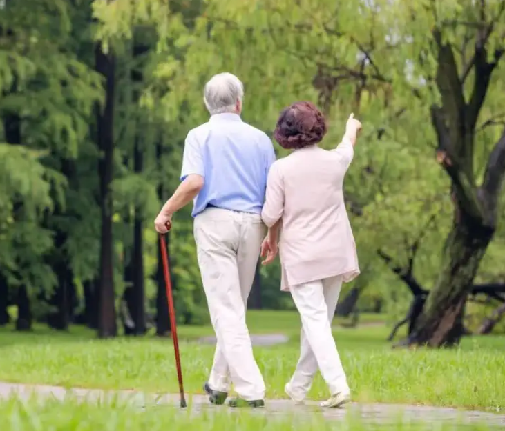 广西将构建“三区三集群”森林康养产业新格局