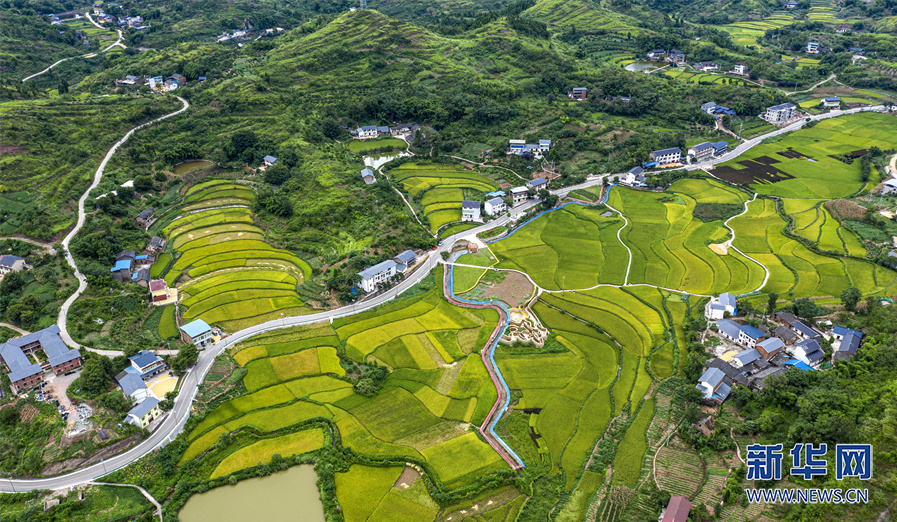 “在希望的田野上——乡村振兴看西部”活动在渝启动