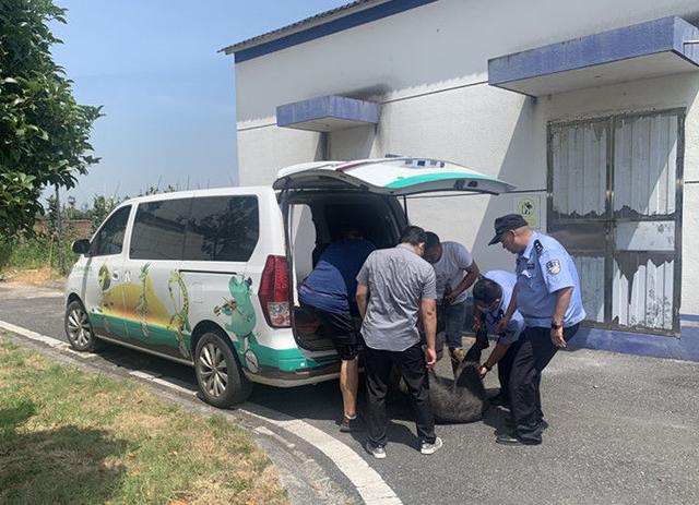 金华开发区:“稀客”误闯农家 众人助其回家