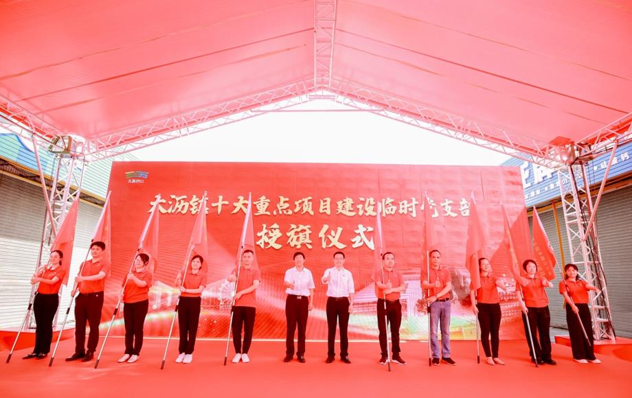 佛山大沥镇成立十大重点项目建设临时党支部