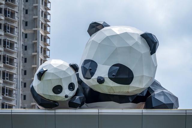 广西南宁楼顶现大熊猫带幼崽爬楼 超萌可爱有趣