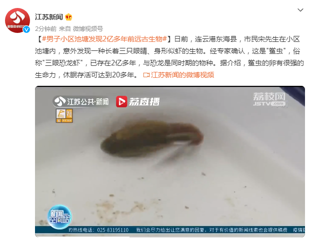 男子小区池塘发现2亿多年前远古生物，俗称“三眼恐龙虾”