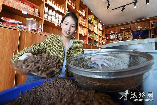 藏族大学生代青永措返乡助力乡村振兴