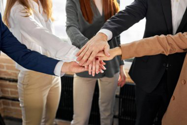 世界青年发展论坛就业创业主题论坛举行