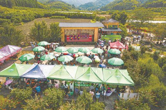 南平建瓯:观光农业催生“美丽经济”