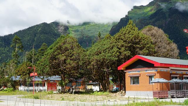 吃“生态饭”，过好日子——琼林村的致富之路