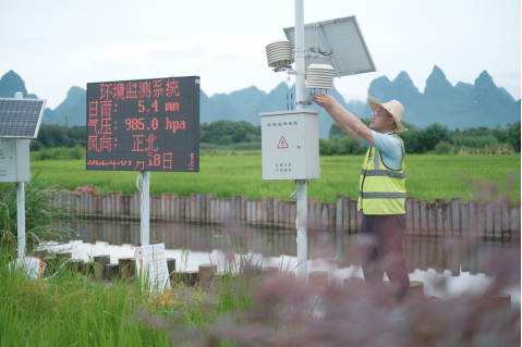 风吹稻浪 “5G+数字乡村”建设助力夏粮丰产丰收