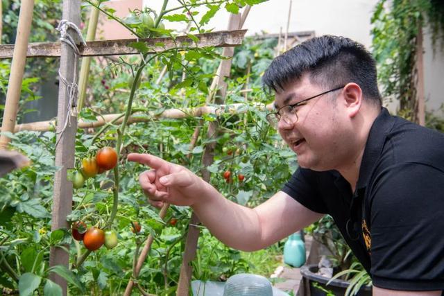 半月谈丨都市青年催热“阳台经济”