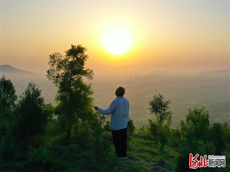 影像记录 | 张忠勤：让荒山穿上绿军装