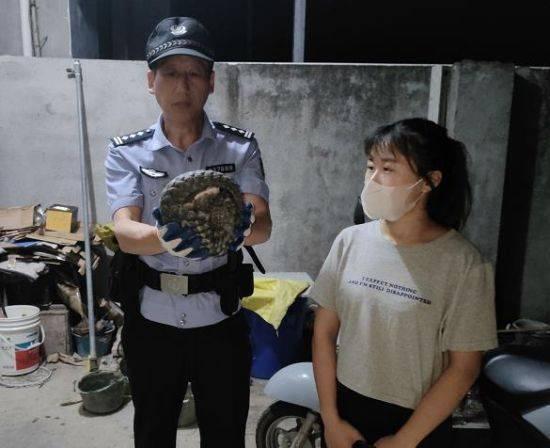 安徽休宁警民联合救助一只“串门”的穿山甲
