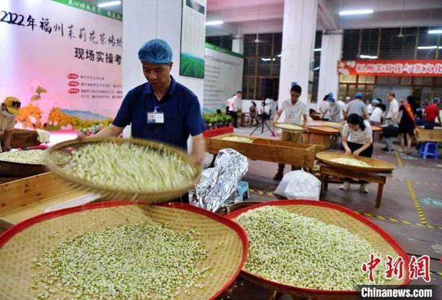 40名制茶师现场比拼福州茉莉花茶传统制作工艺